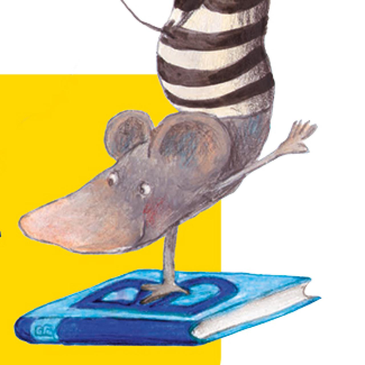 Buchstart Miomaus